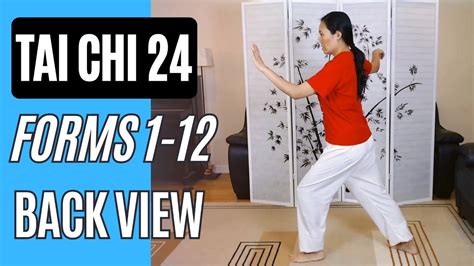 Mastering Tai Chi Yang Style 24 Form On Youtube