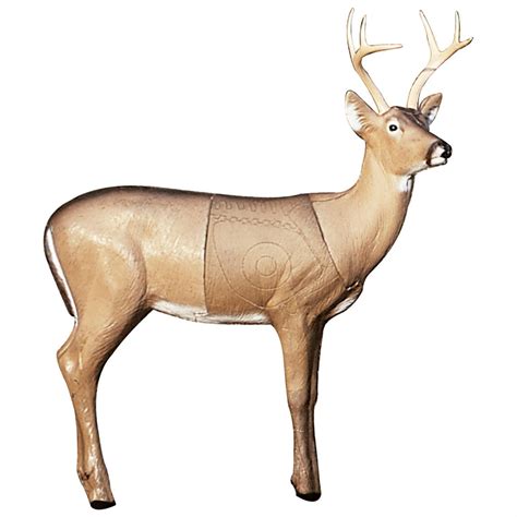 Mastering The Mckenzie Deer Form: A Hunters Guide