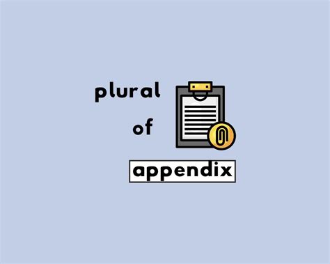 Mastering The Plural Form Appendix In Grammar