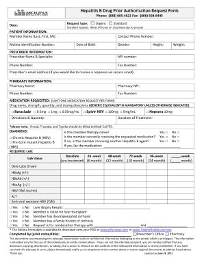 Molina Pa Form: A Step-By-Step Filling Guide