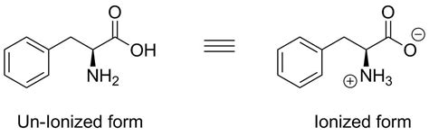 Phenylalanine Ionized Form Structure