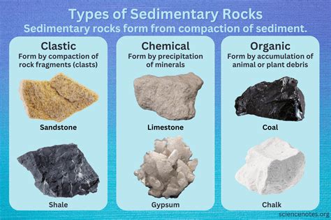 Plant Breakdown Forms Coal And Other Organic Sedimentary Rocks