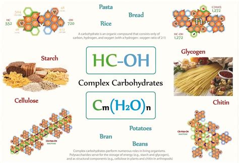 Plant Carbohydrate Storage Forms