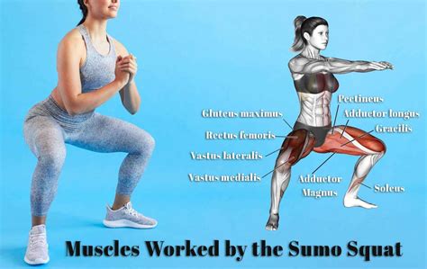 Proper Sumo Squat Form With Dumbbells For Maximum Results