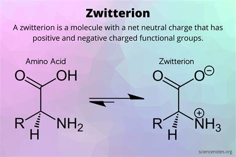 Revealing Methionines Zwitterion Form: A Molecular Modification Guide