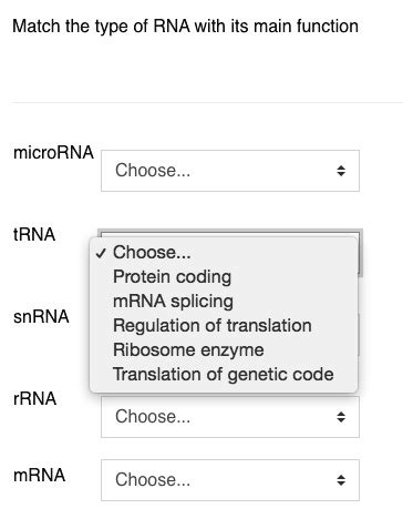 Rna Functions: Matching Rrna With Its Role