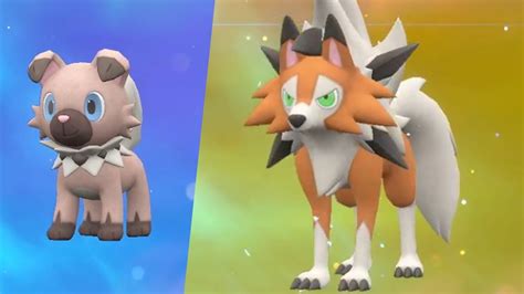 Rockruff Dusk Form Violet: Evolution And Catching Guide