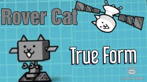 Rover Cat True Form: Unveiling The Mysterious Feline