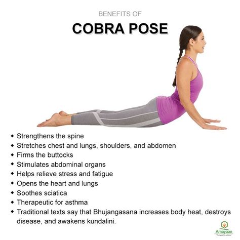 Rya Snake Form: Unlocking Cobra Pose Benefits