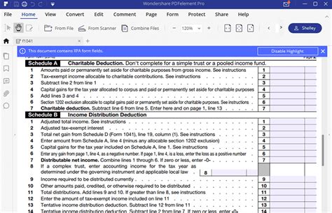 Schedule B Form 1041: A Comprehensive Filing Guide