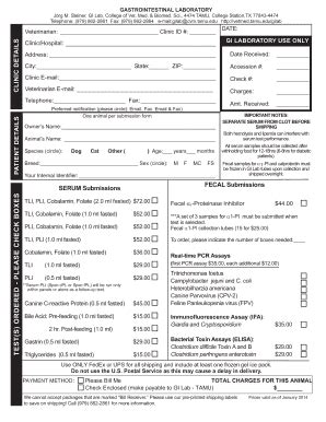 Tamu Gi Lab Submission Form: Easy Project Submission Guide