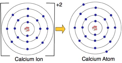 The Ion Calcium Forms