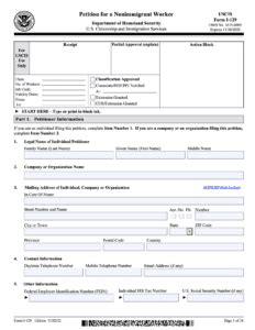 Top 5 Tips For Filling Out I-129 Form Edition