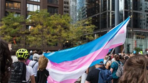 Trans Snitch Form: What You Need To Know