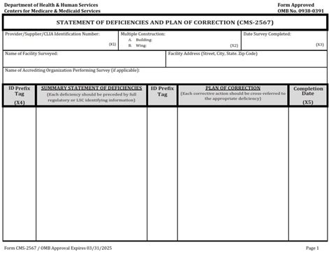 Understanding Cms Form 2567 For Healthcare Providers