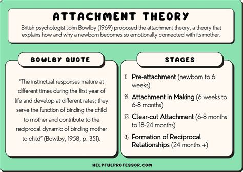 Understanding Forms Of Attachment Ny Times Explained