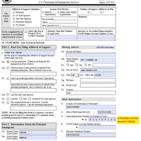 Understanding In Care Of On Form I-864 Explained