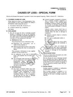 Understanding Loss Special Form: Causes And Implications