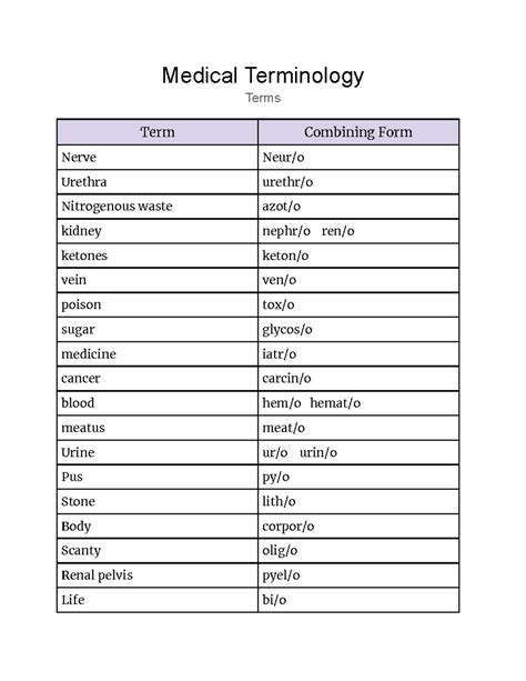 Unlocking The Cephalo Combining Form In Medical Terminology