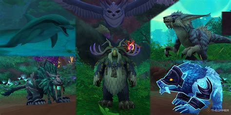 Unlocking The Druid Mount Form In World Of Warcraft