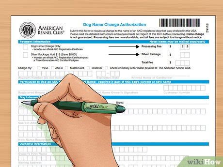 Update Your Poochs Papers With The Akc Name Change Form