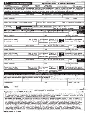 Va Form 10-10d Printable Template And Instructions