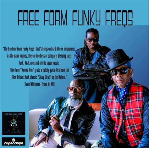 Vibin To Free Form Funky Freqs: Eclectic Music Bliss