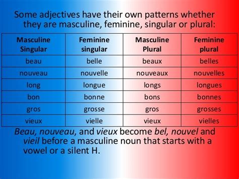 Vieux In Feminine Form Explained Simply