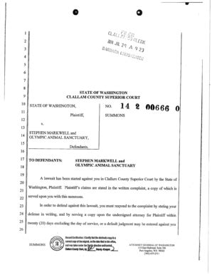 Washington State Summons And Complaint Form Guide