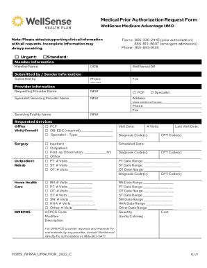 Wellsense Prior Authorization Form: Easy Guide