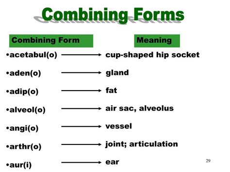 What Anesthesiologist Combining Form Really Means