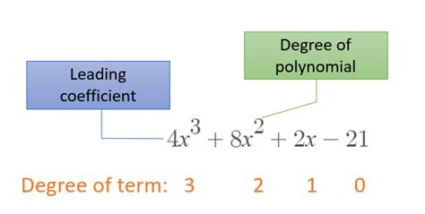 What Are Polynomials In Standard Form Explained