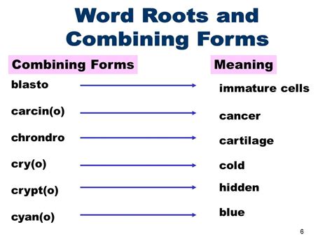 What Hepatomegaly Combining Form Really Means