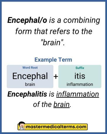 What Is Encephalo In Medical Terms