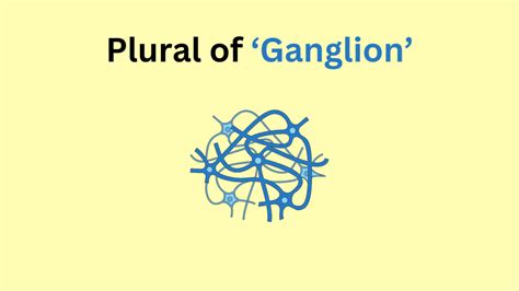 What Is The Plural Form Of Ganglion