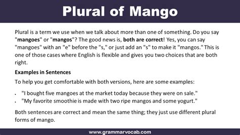 What Is The Plural Form Of Mango