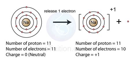 Which Atom Forms A 1+ Ion Most Easily