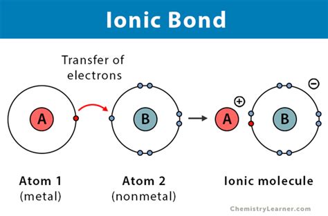 Which Atoms Form Ionic Bonds